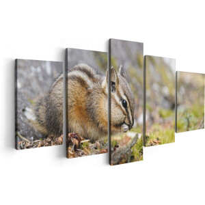 Artaza Canvas Schilderij Vijfluik Eekhoorn op het Gras tussen de Bladeren - 100x50 - Foto Op Canvas - Canvas Print