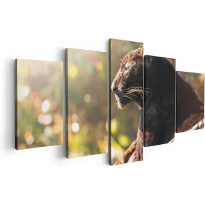 Artaza Canvas Schilderij Vijfluik Zwarte Panter Vanaf De Zijkant - 100x50 - Foto Op Canvas - Canvas Print
