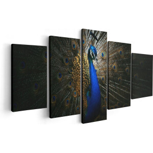 Artaza Canvas Schilderij Vijfluik Blauwe Pauw Met Grote Veren - 100x50 - Foto Op Canvas - Canvas Print