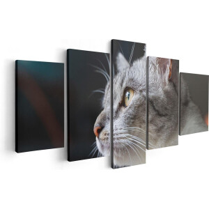 Artaza Canvas Schilderij Vijfluik Kat Met Gele Ogen Van Dichtbij - 100x50 - Foto Op Canvas - Canvas Print