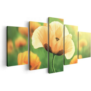 Artaza Canvas Schilderij Vijfluik Oranje Klaproos Bloemen  - 100x50 - Foto Op Canvas - Canvas Print