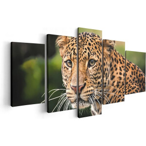 Artaza Canvas Schilderij Vijfluik Luipaard Van Dichtbij - 100x50 - Foto Op Canvas - Canvas Print