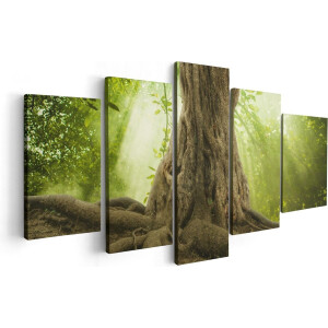 Artaza Canvas Schilderij Vijfluik Grote Boom In Het Bos Met Wortels - 100x50 - Foto Op Canvas - Canvas Print