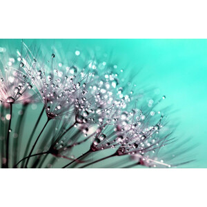 Kristal Helder Galerie kwaliteit Plexiglas 5mm.- Blind Aluminium Ophang-frame- Fotokunst- luxe wanddecoratie- Akoestisch en UV Werend- inclusief verzending