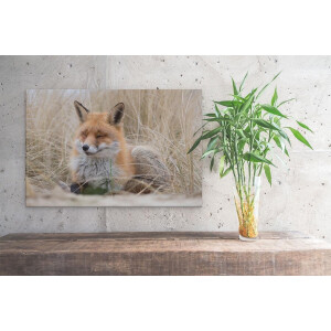 Artaza Canvas Schilderij Vos in de Duinen  - 30x20 - Klein - Foto Op Canvas - Canvas Print