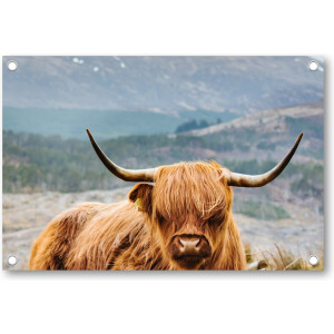 Schotse Hooglander - Tuinposter 120x80 - Wanddecoratie - Besteposter - Dieren - Natuur