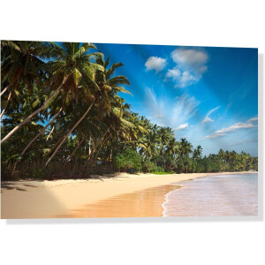 Glasschilderij - Foto op acrylglas - 60x40cm - Palmbomen op het strand + ophangsysteem