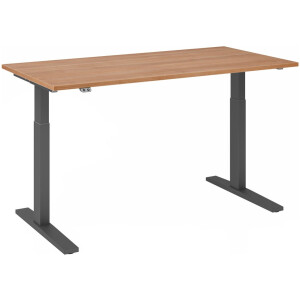 Bureau XMKA Electr. in hoogte verstelbaar 160 x 80 Noten - Grafiet