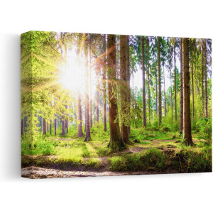 Artaza Canvas Schilderij Bos met Zon tussen de Bomen - 30x20 - Klein - Foto Op Canvas - Canvas Print