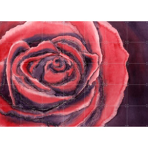 IXXI Red Rose, Natalie Bruns - 140 x 100 cm - Gratis ophangtool - Grote wanddecoratie en posters - Aquarel, Kleurrijk, Eetkamer, Woonkamer