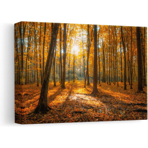 Artaza Canvas Schilderij Herfst in Bos - 30x20 - Klein - Foto Op Canvas - Canvas Print