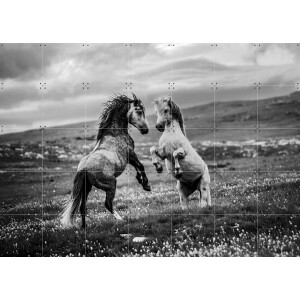 IXXI Wild and Free, Bridgeman Images - 140 x 100 cm - Gratis ophangtool - Grote wanddecoratie en posters - Fotografie, Woonkamer, Dieren, Wilde