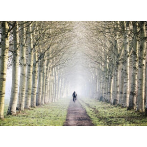 IXXI One Man Two Wheels, Claire Droppert - 140 x 100 cm - Gratis ophangtool - Grote wanddecoratie en posters - Naturalisme, Fotografie, Realisme