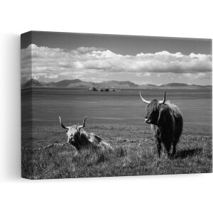 Artaza - Canvas Schilderij - Twee Schotse Hooglanders bij een Meer - Zwart Wit - 30x20 - Klein - Foto Op Canvas - Canvas Print