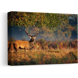Artaza Canvas Schilderij Hert onder een Boom in de Weide - 30x20 - Klein - Foto Op Canvas - Canvas Print