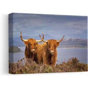 Artaza Canvas Schilderij Hooglander - 30x20 cm - Klein - Muurdecoratie Schotland - Wanddecoratie Natuur - Kamer Accessoires