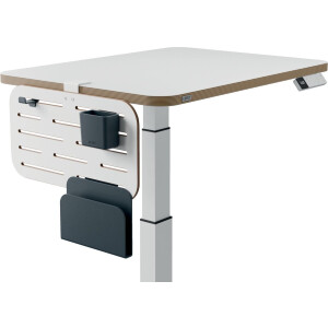 Leitz Ergo Bureau Organizer - Pegboard - 42 x 25 cm - Wit