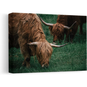 Artaza - Canvas Schilderij - Twee Schotse Hooglanders grazen Gras - 30x20 - Klein - Foto Op Canvas - Canvas Print