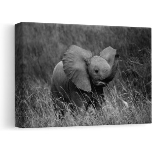 Artaza Canvas Schilderij Baby Olifant - 30x20 cm - Klein - Muurdecoratie Wilde Dieren - Wanddecoratie Afrika - Kamer Accessoires