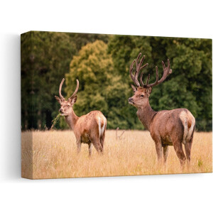 Artaza Canvas Schilderij Twee Etende Herten in de Weide - 30x20 - Klein - Foto Op Canvas - Canvas Print