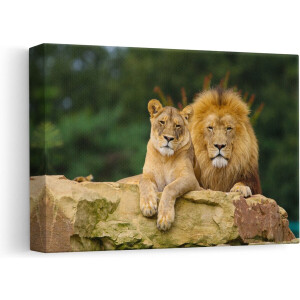 Artaza - Canvas Schilderij - Leeuw en Leeuwin - Liefde Koppel - 30x20 - Klein - Foto Op Canvas - Canvas Print