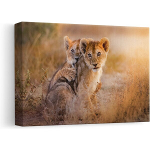 Artaza - Canvas Schilderij - Twee Leeuwen Welpen in het Wild - 30x20 - Klein - Foto Op Canvas - Canvas Print