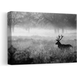 Artaza Canvas Schilderij Hert in het Veld tijdens de Mist - Zwart Wit - 30x20 - Klein - Foto Op Canvas - Canvas Print
