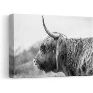 Artaza - Canvas Schilderij - Schotse Hooglander in het Zwart Wit - 30x20 - Klein - Foto Op Canvas - Canvas Print