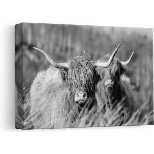 Artaza - Canvas Schilderij - Twee Schotse Hooglanders in de Zon - Zwart Wit - 30x20 - Klein - Foto Op Canvas - Canvas Print