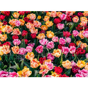 IXXI Keukenhof, Margriet Hulsker - 80 x 60 cm - Gratis ophangtool - Grote wanddecoratie en posters - Fotografie, Kleurrijk, Woonkamer, Eetkamer
