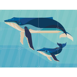 IXXI Bultrug, Elke Uijtewaal - 80 x 60 cm - Gratis ophangtool - Grote wanddecoratie en posters - Grafisch Ontwerp, Illustraties, Digitale Kunst