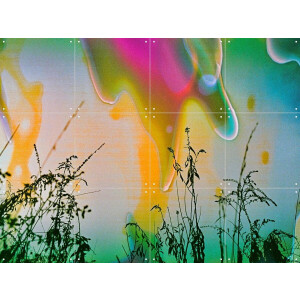 IXXI Resilience, Amber Lauder - 80 x 60 cm - Gratis ophangtool - Grote wanddecoratie en posters - Gemengde Technieken, Geometrische Kunst, Speels