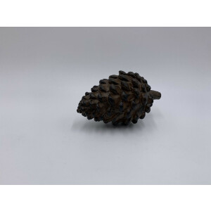 Dennenappel decoratie beeld bruin zwart liggend Maat M 15 x 8 cm polysteen | 121306 790033 | Home Sweet Home | Stoer & Sober Woonstijl