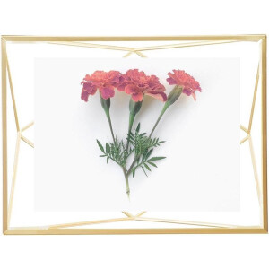 Umbra Prisma-fotolijst 10x15 Goud