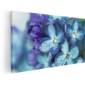 Artaza Canvas Schilderij Blauwe Lila Bloemen - Seringen - 100x50 - Groot - Foto Op Canvas - Canvas Print