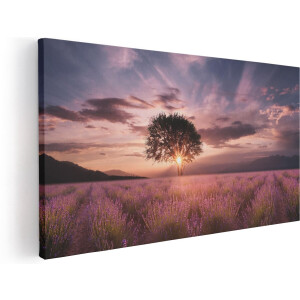 Artaza Canvas Schilderij Bloemenveld Met Lavendel Bij Zonsondergang - 60x30 - Foto Op Canvas - Canvas Print