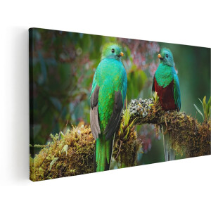 Artaza Canvas Schilderij Twee Groene Quetzal Vogels Op Een Tak - 160x80 cm - Groot - Wanddecoratie Woonkamer - Schilderijen - Muurdecoratie