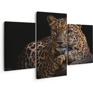 Artaza Canvas Schilderij Drieluik Luipaard Met Blauwe Ogen - 150x120 - Groot - Foto Op Canvas - Canvas Print
