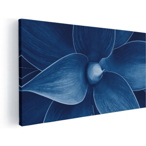 Artaza Canvas Schilderij Blauwe Agave Plant - Bloem - 80x40 - Foto Op Canvas - Canvas Print