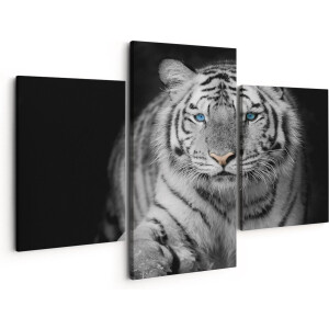 Artaza Canvas Schilderij Drieluik Tijger Met Blauwe Ogen - Zwart Wit - 150x120 - Groot - Foto Op Canvas - Canvas Print