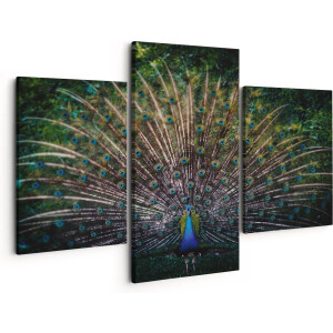 Artaza Canvas Schilderij Drieluik Pauw Met Kleurrijke Veren - Kleur - 150x120 - Groot - Foto Op Canvas - Canvas Print