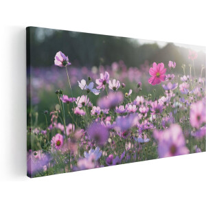 Artaza Canvas Schilderij Bloemenveld Met Paarse Kosmos  - 80x40 - Foto Op Canvas - Canvas Print