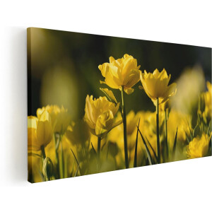 Artaza Canvas Schilderij Gele Tulpen - Bloemen - 80x40 - Foto Op Canvas - Canvas Print