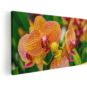 Artaza Canvas Schilderij Geel Rode Orchidee Bloemen - 60x30 - Foto Op Canvas - Canvas Print