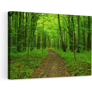Artaza Canvas Schilderij Voetpad in Groen Bos - 90x60 - Foto Op Canvas - Canvas Print - Muurdecoratie
