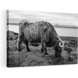 Artaza Canvas Schilderij Schotse Hooglander - 90x60 cm - Wanddecoratie Zwart Wit - Muurdecoratie Woonkamer - Schilderijen Op Canvas Dieren