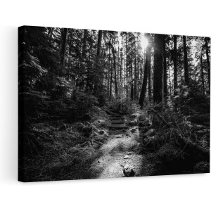 Artaza Canvas Schilderij Voetpad in het Bos - Zwart Wit - 90x60 - Foto Op Canvas - Canvas Print - Muurdecoratie