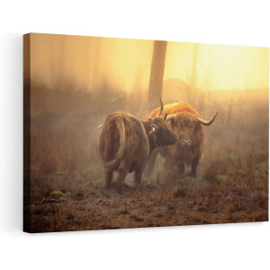 Artaza Canvas Schilderij - Twee Schotse Hooglanders in de Mist - 90x60 - Foto Op Canvas - Canvas Print - Muurdecoratie
