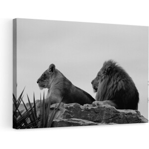 Artaza Canvas Schilderij Leeuw en Leeuwin op een Rots - Zwart Wit - 90x60 - Foto Op Canvas - Canvas Print - Muurdecoratie