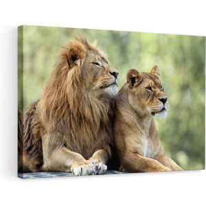 Artaza Canvas Schilderij Leeuw en Leeuwin in het Groene Wild - 90x60 cm - Wanddecoratie Woonkamer - Schilderijen - Muurdecoratie